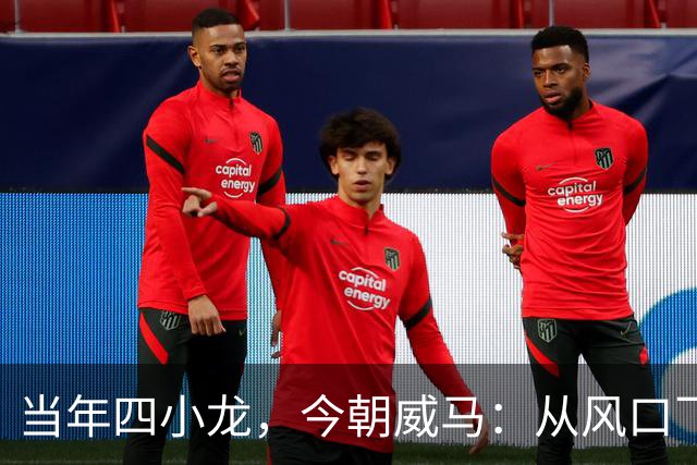 当年四小龙，今朝威马：从风口飞扬到坠入深渊